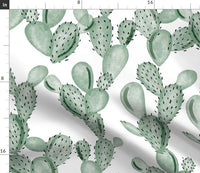 Neutral Cactus Themed Set